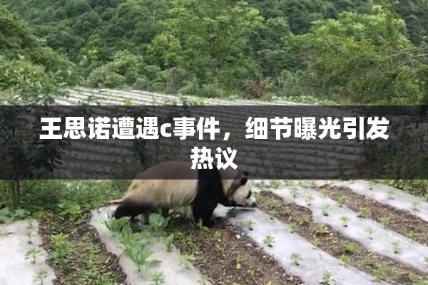 王思诺遭遇c事件，细节曝光引发热议