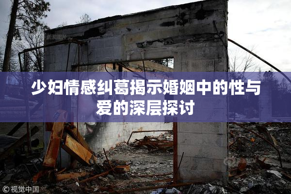 少妇情感纠葛揭示婚姻中的性与爱的深层探讨