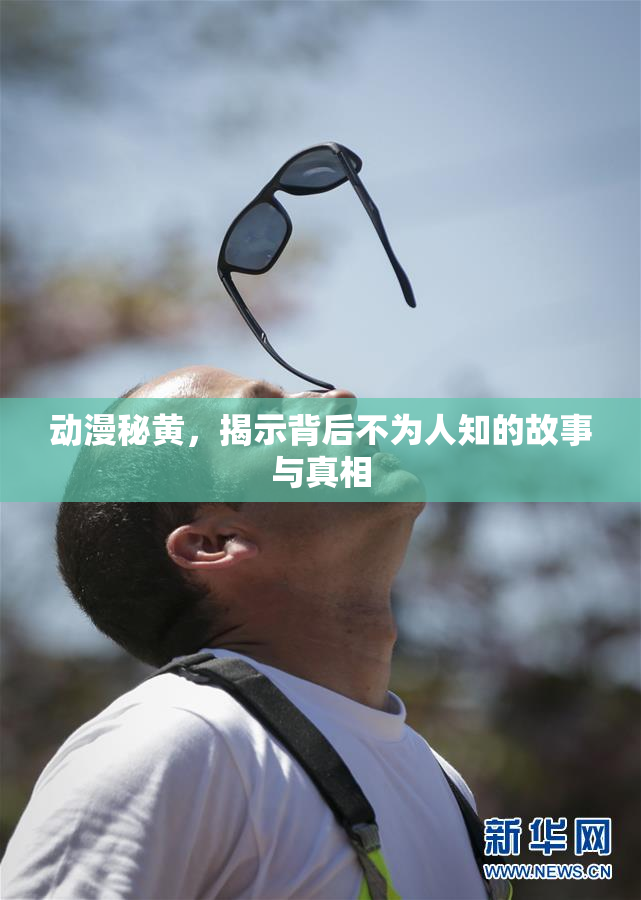动漫秘黄，揭示背后不为人知的故事与真相