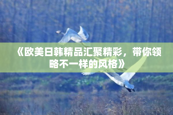 《欧美日韩精品汇聚精彩，带你领略不一样的风格》