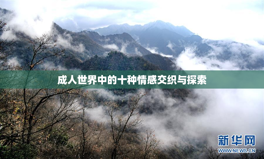 成人世界中的十种情感交织与探索