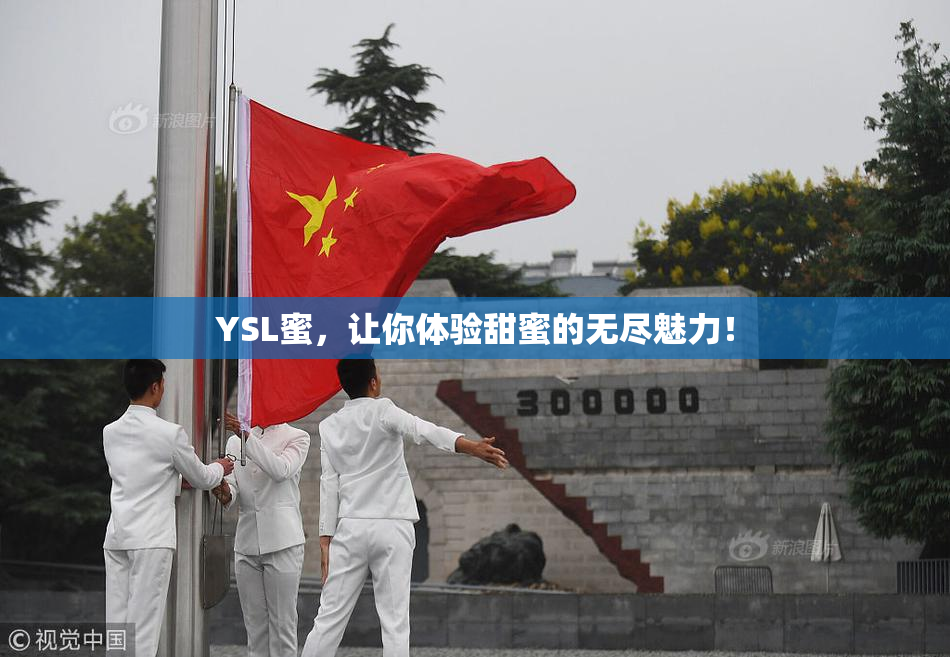 YSL蜜，让你体验甜蜜的无尽魅力！
