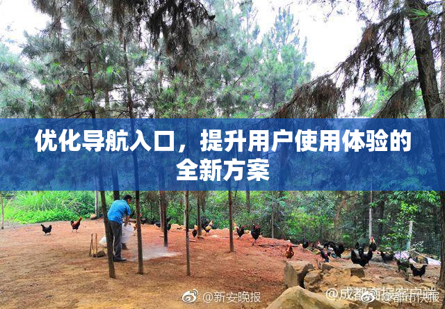 优化导航入口，提升用户使用体验的全新方案