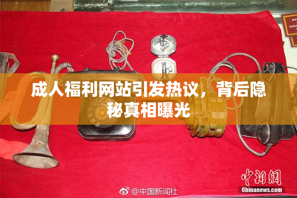 成人福利网站引发热议，背后隐秘真相曝光