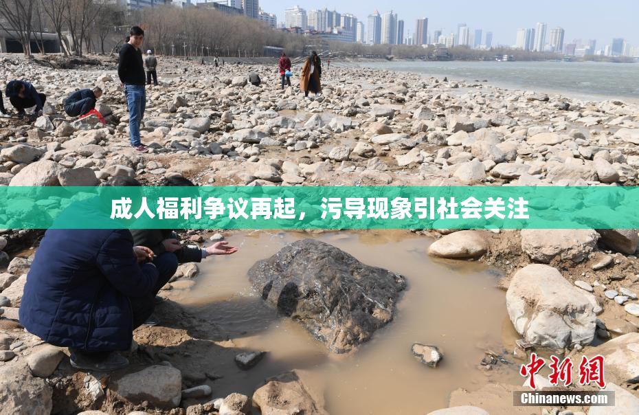 成人福利争议再起，污导现象引社会关注