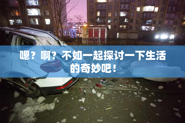嗯？啊？不如一起探讨一下生活的奇妙吧！