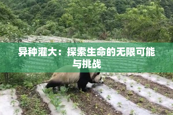 异种灌大：探索生命的无限可能与挑战