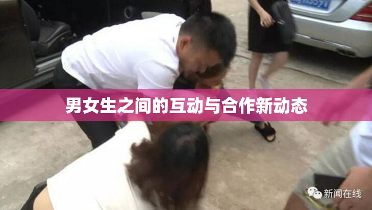 男女生之间的互动与合作新动态