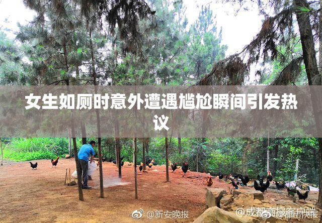 女生如厕时意外遭遇尴尬瞬间引发热议