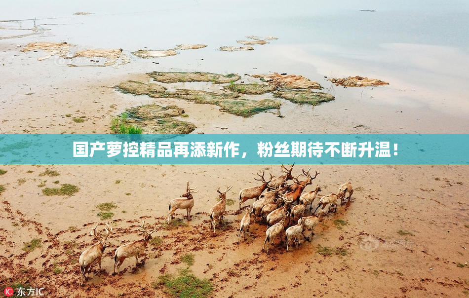 国产萝控精品再添新作，粉丝期待不断升温！