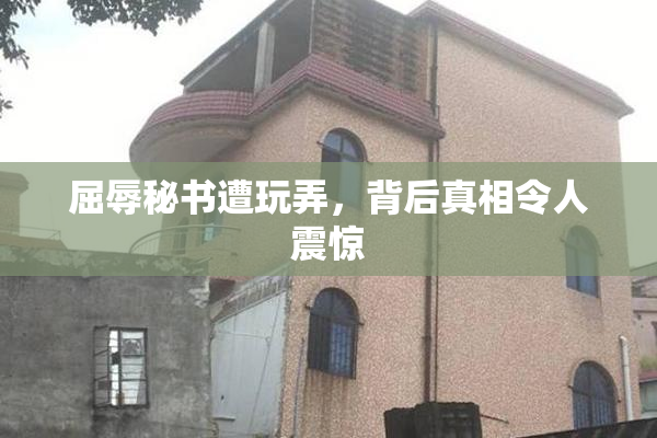 屈辱秘书遭玩弄，背后真相令人震惊