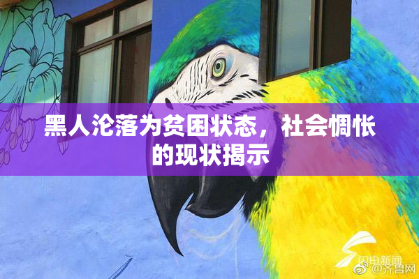 黑人沦落为贫困状态，社会惆怅的现状揭示