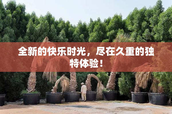 全新的快乐时光，尽在久重的独特体验！