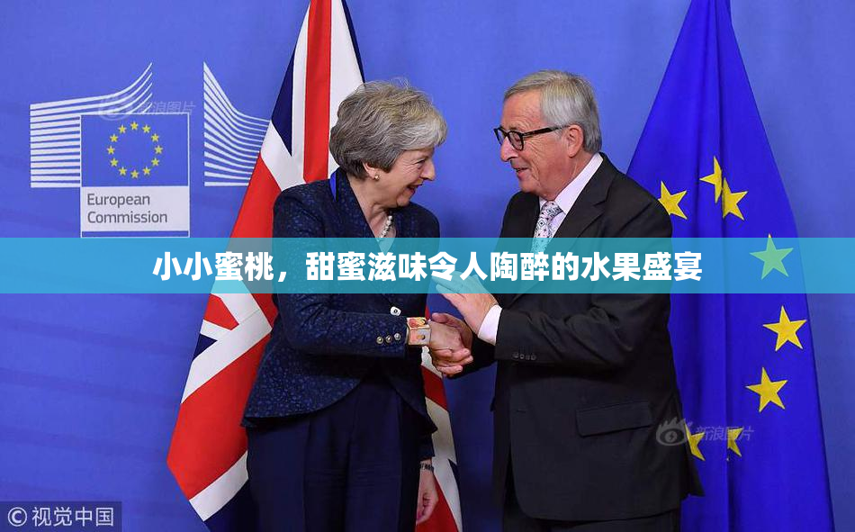 小小蜜桃，甜蜜滋味令人陶醉的水果盛宴