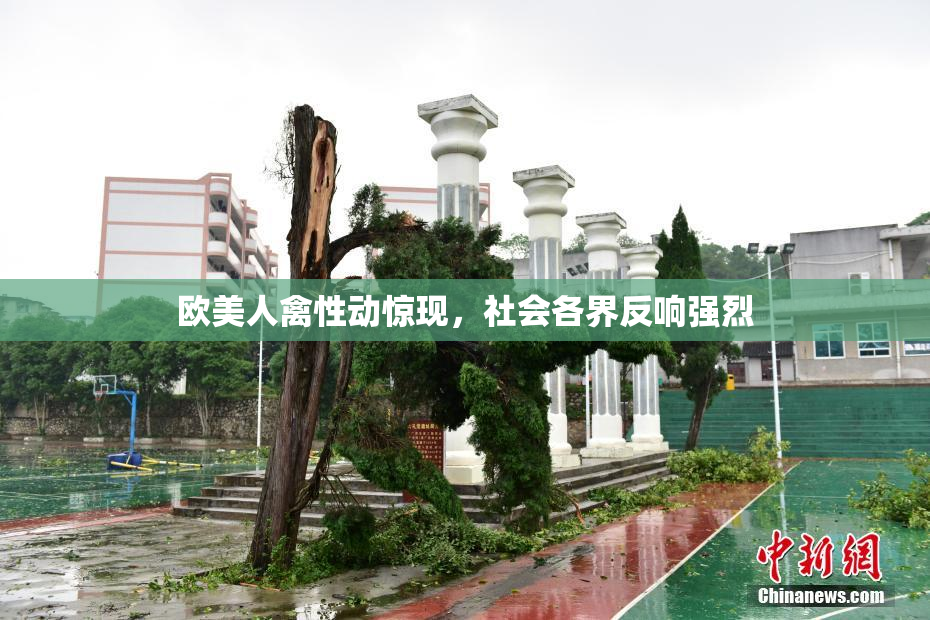 欧美人禽性动惊现，社会各界反响强烈
