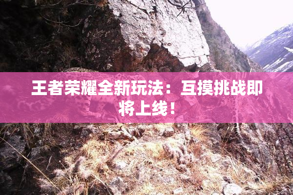 王者荣耀全新玩法：互摸挑战即将上线！