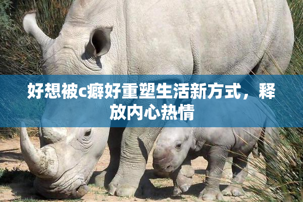 好想被c癖好重塑生活新方式，释放内心热情