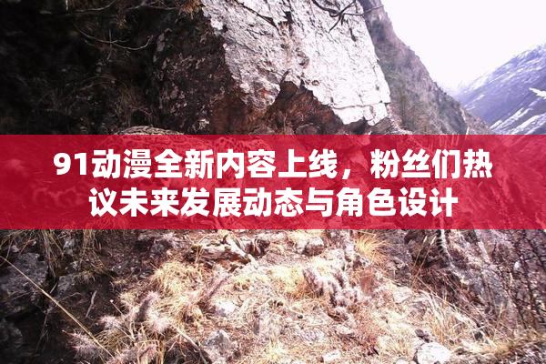 91动漫全新内容上线，粉丝们热议未来发展动态与角色设计