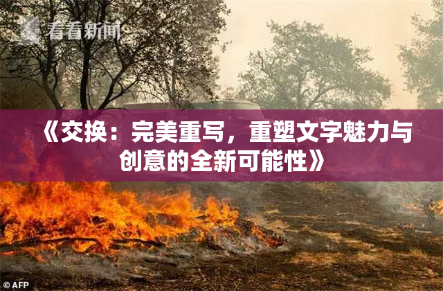 《交换：完美重写，重塑文字魅力与创意的全新可能性》