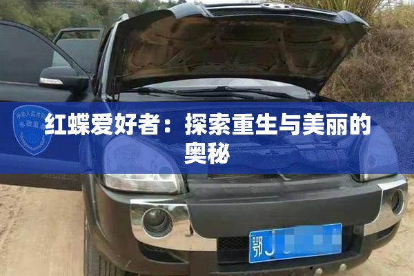 红蝶爱好者：探索重生与美丽的奥秘