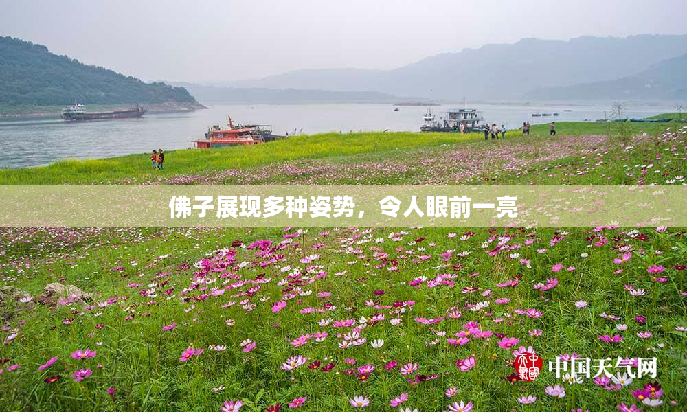 佛子展现多种姿势，令人眼前一亮
