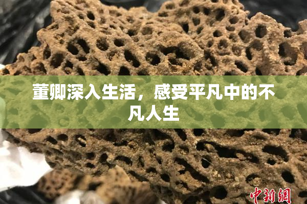 董卿深入生活，感受平凡中的不凡人生