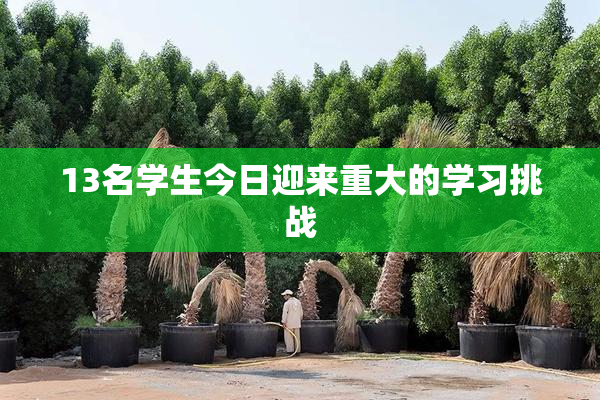 13名学生今日迎来重大的学习挑战