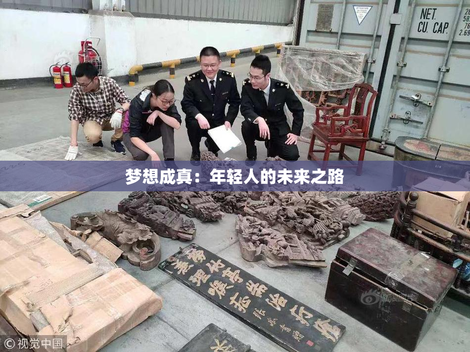 梦想成真：年轻人的未来之路