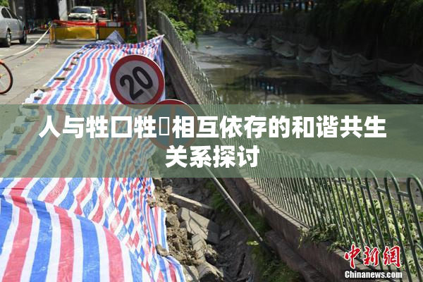 人与牲囗牲恔相互依存的和谐共生关系探讨