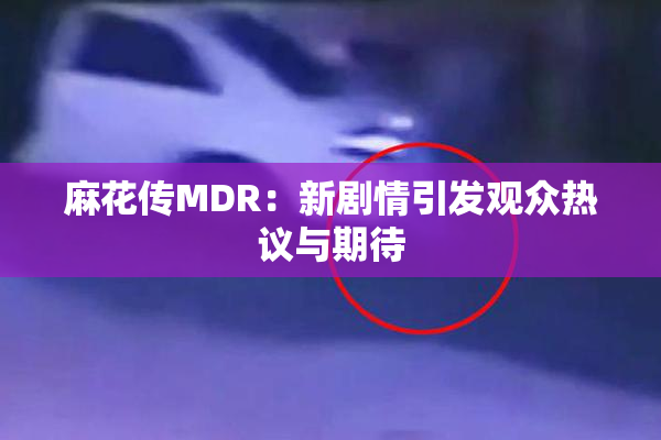 麻花传MDR：新剧情引发观众热议与期待