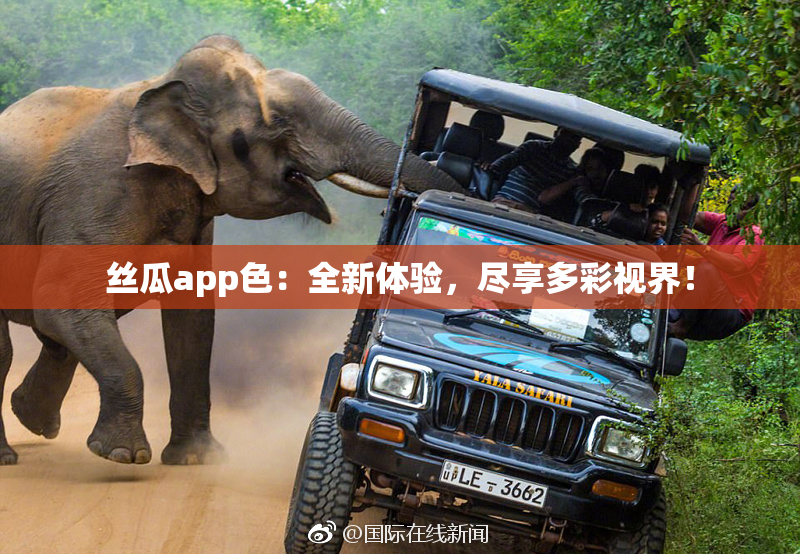 丝瓜app色：全新体验，尽享多彩视界！