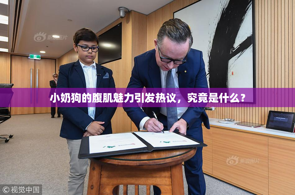 小奶狗的腹肌魅力引发热议，究竟是什么？