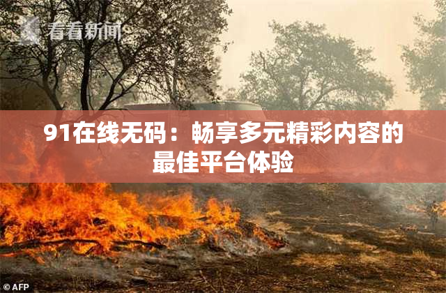 91在线无码：畅享多元精彩内容的最佳平台体验