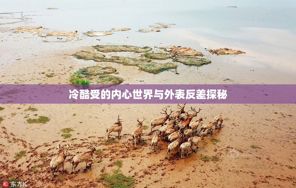 冷酷受的内心世界与外表反差探秘