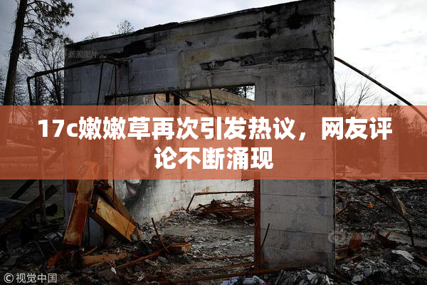 17c嫩嫩草再次引发热议，网友评论不断涌现