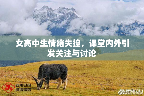 女高中生情绪失控，课堂内外引发关注与讨论
