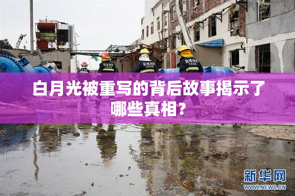 白月光被重写的背后故事揭示了哪些真相？