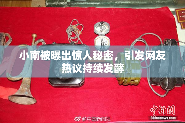 小南被曝出惊人秘密，引发网友热议持续发酵