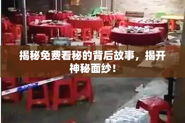 揭秘免费看秘的背后故事，揭开神秘面纱！