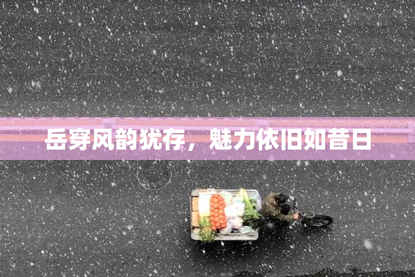 岳穿风韵犹存，魅力依旧如昔日