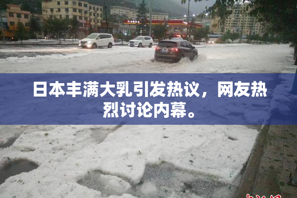 日本丰满大乳引发热议，网友热烈讨论内幕。