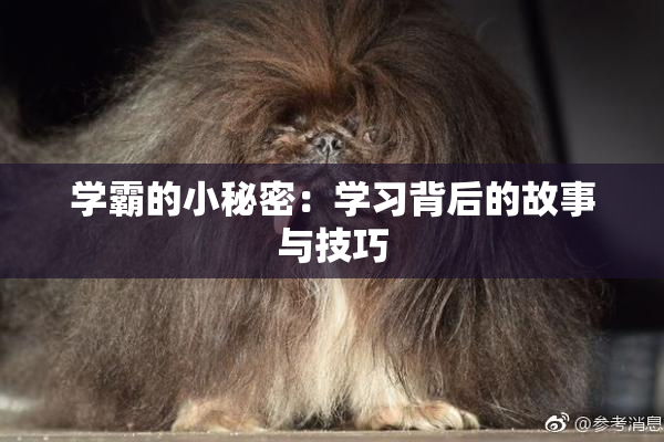 学霸的小秘密：学习背后的故事与技巧