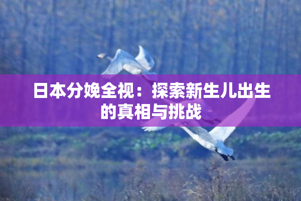 日本分娩全视：探索新生儿出生的真相与挑战
