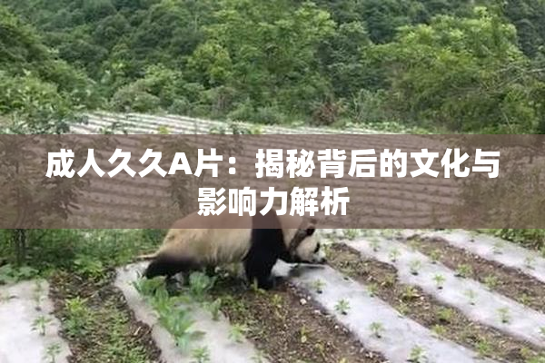 成人久久A片：揭秘背后的文化与影响力解析