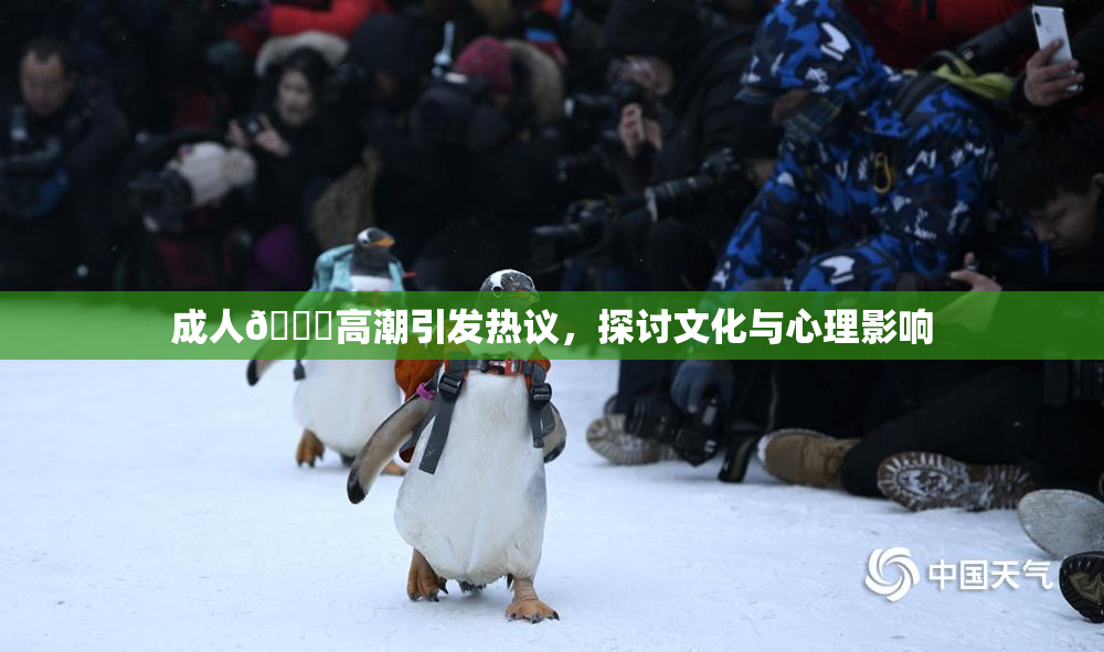成人🔞高潮引发热议，探讨文化与心理影响