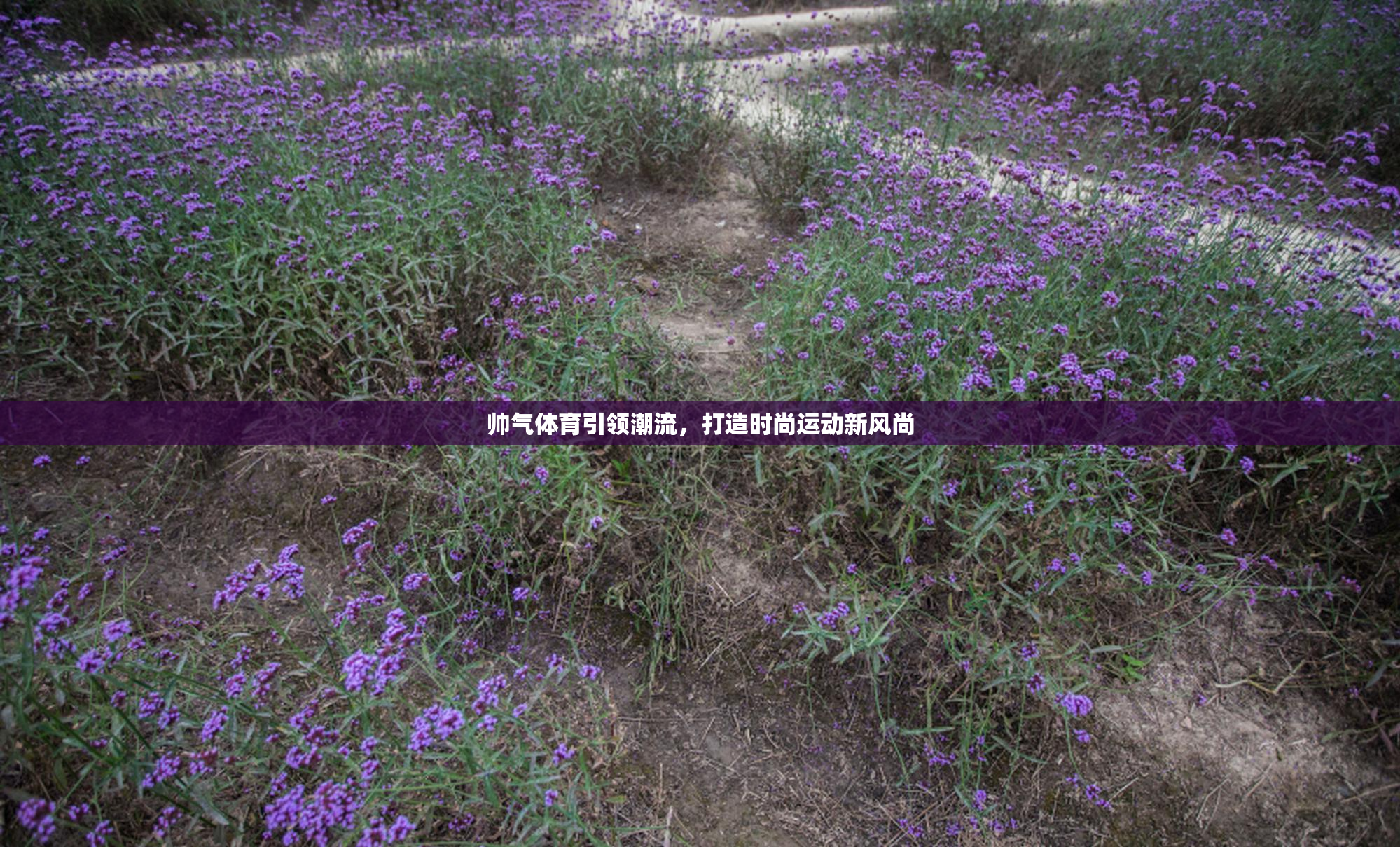 帅气体育引领潮流，打造时尚运动新风尚