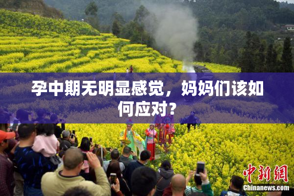 孕中期无明显感觉，妈妈们该如何应对？