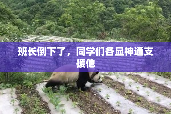 班长倒下了，同学们各显神通支援他