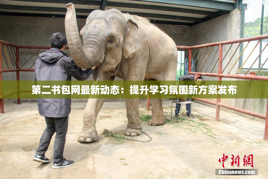 第二书包网最新动态：提升学习氛围新方案发布