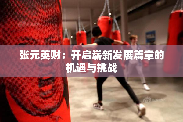 张元英财：开启崭新发展篇章的机遇与挑战